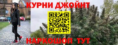 jwh Будённовск