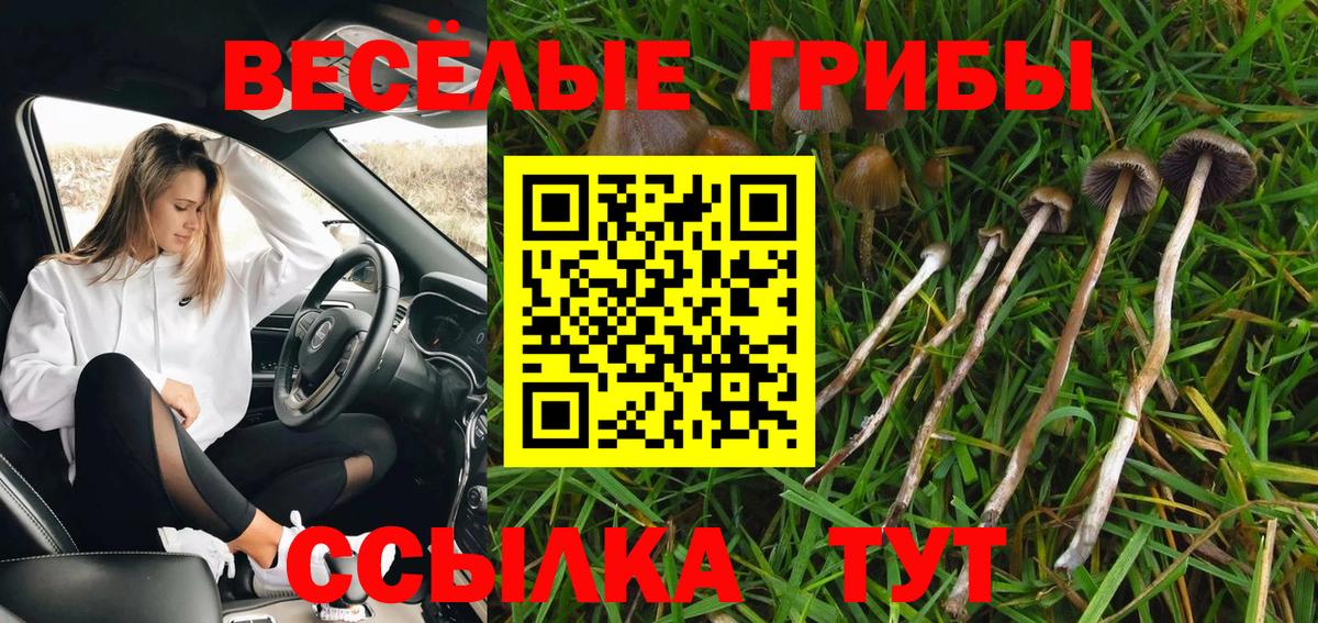 Псилоцибиновые грибы мухоморы  Вход с VPN  Котовск  Галлюциногенные грибы Psilocybine cubensis 